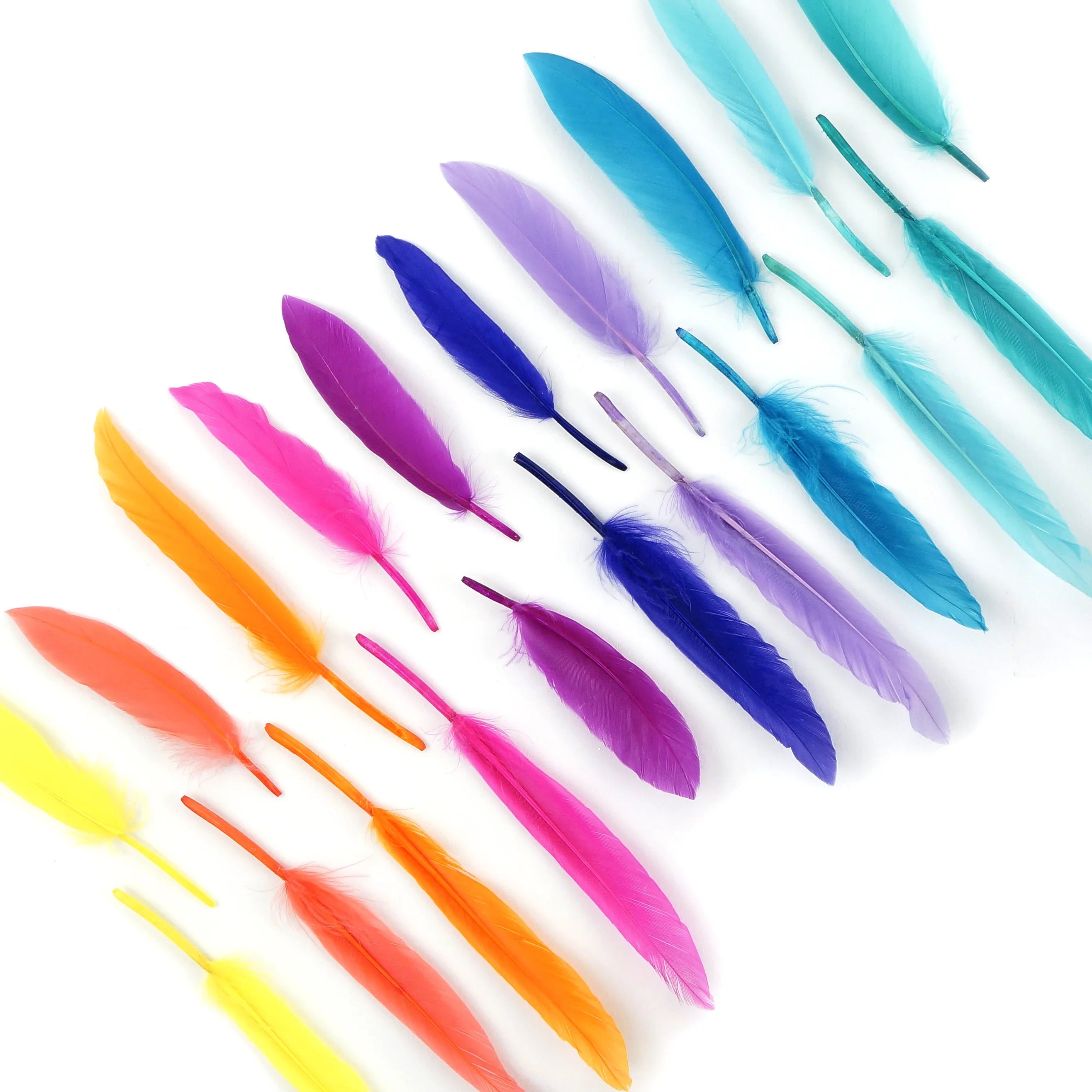 Bright Feathers – Zucker Feather Products, Inc.