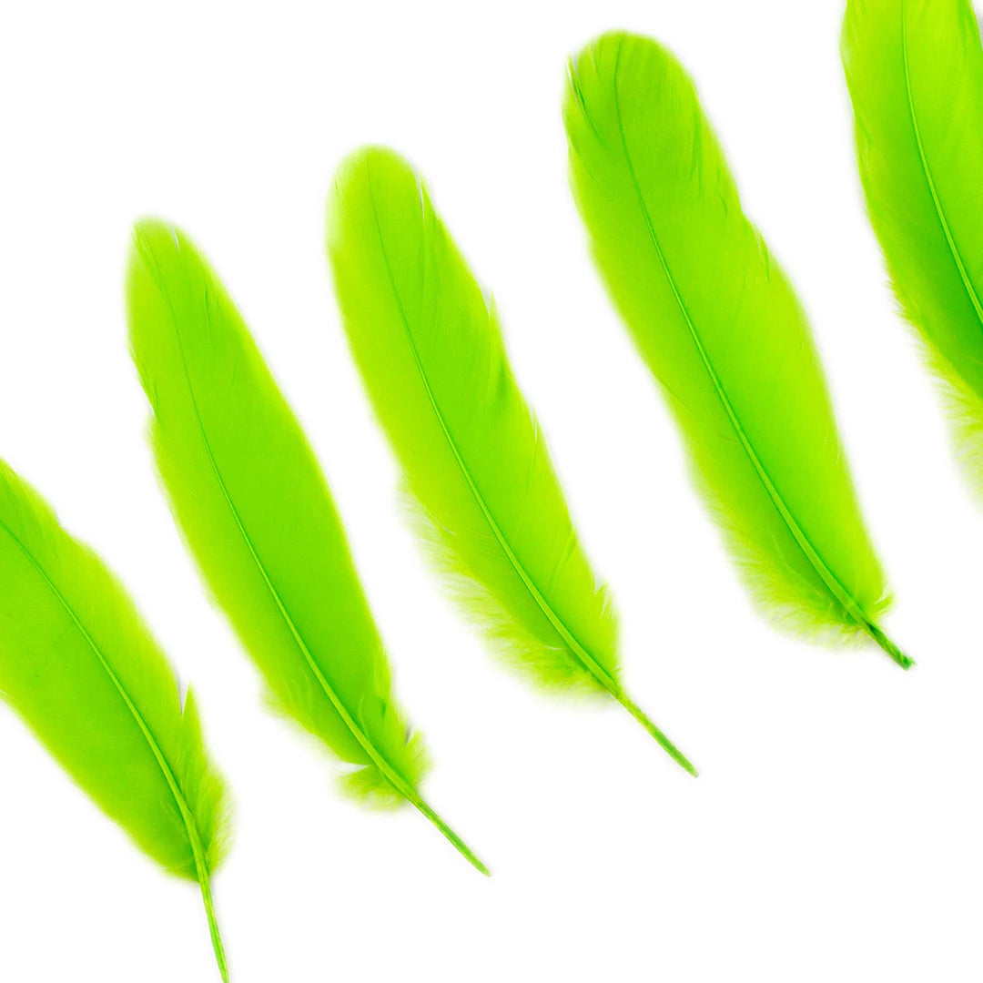 7-9 Inch Lime Green Duck Feathers 10 Light Green Feathers for Making Masks.  Green Bird Feathers. Green Goose Feathers. Green Costume 
