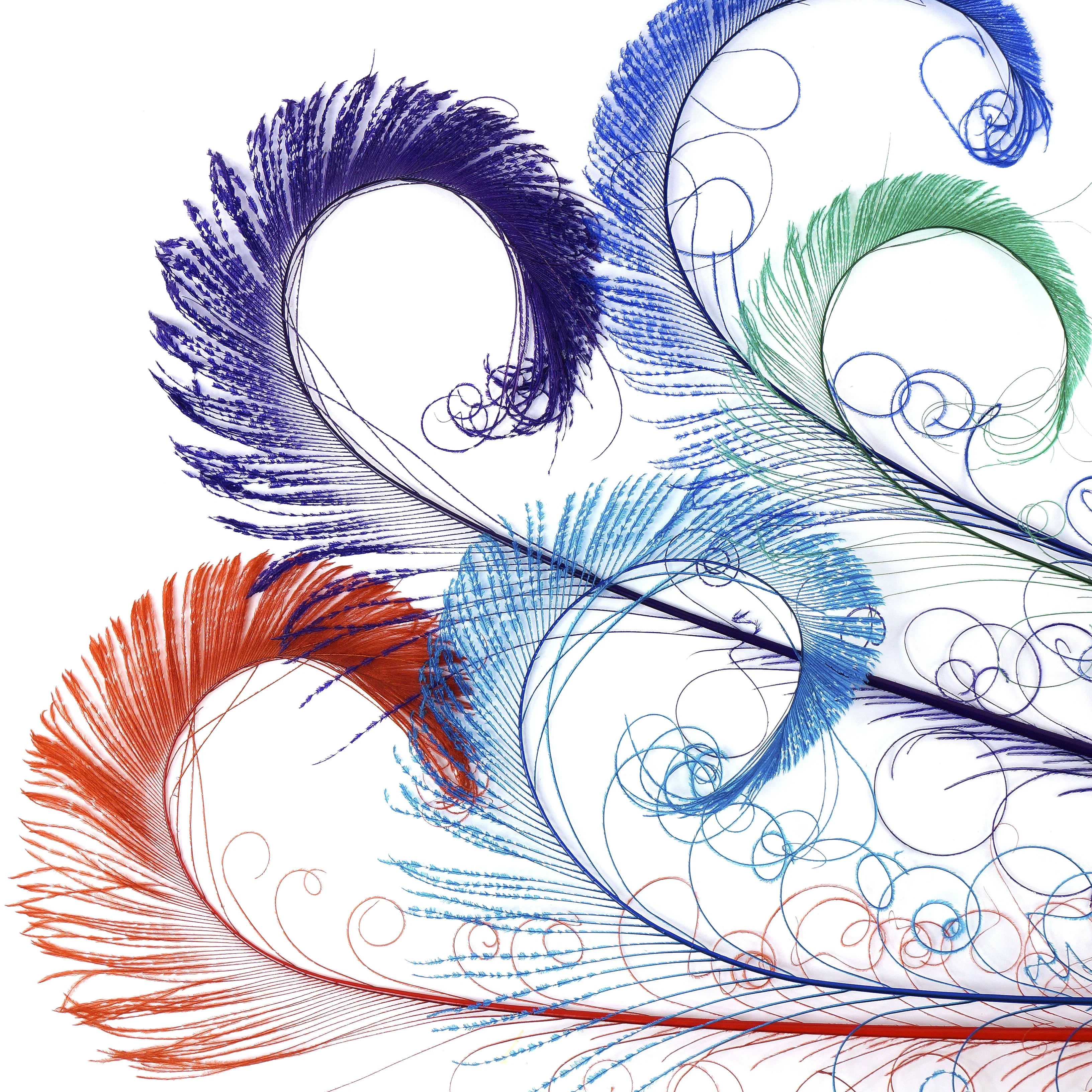 Jewel Toned Feathers – Zucker Feather Products, Inc.