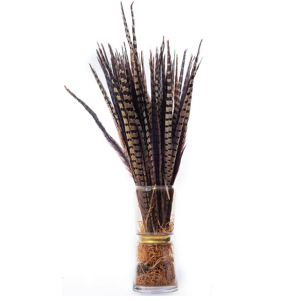 1 Piece Tiered Vase 10.5Inch - Smoke Brown With Gold Center Ring - Feathers