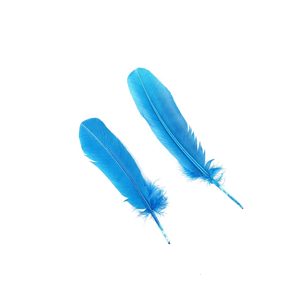 4 PC PKG Large Turkey Quills High-Quality Dyed Feathers 10-12’’ - Dark Turquoise - Feathers
