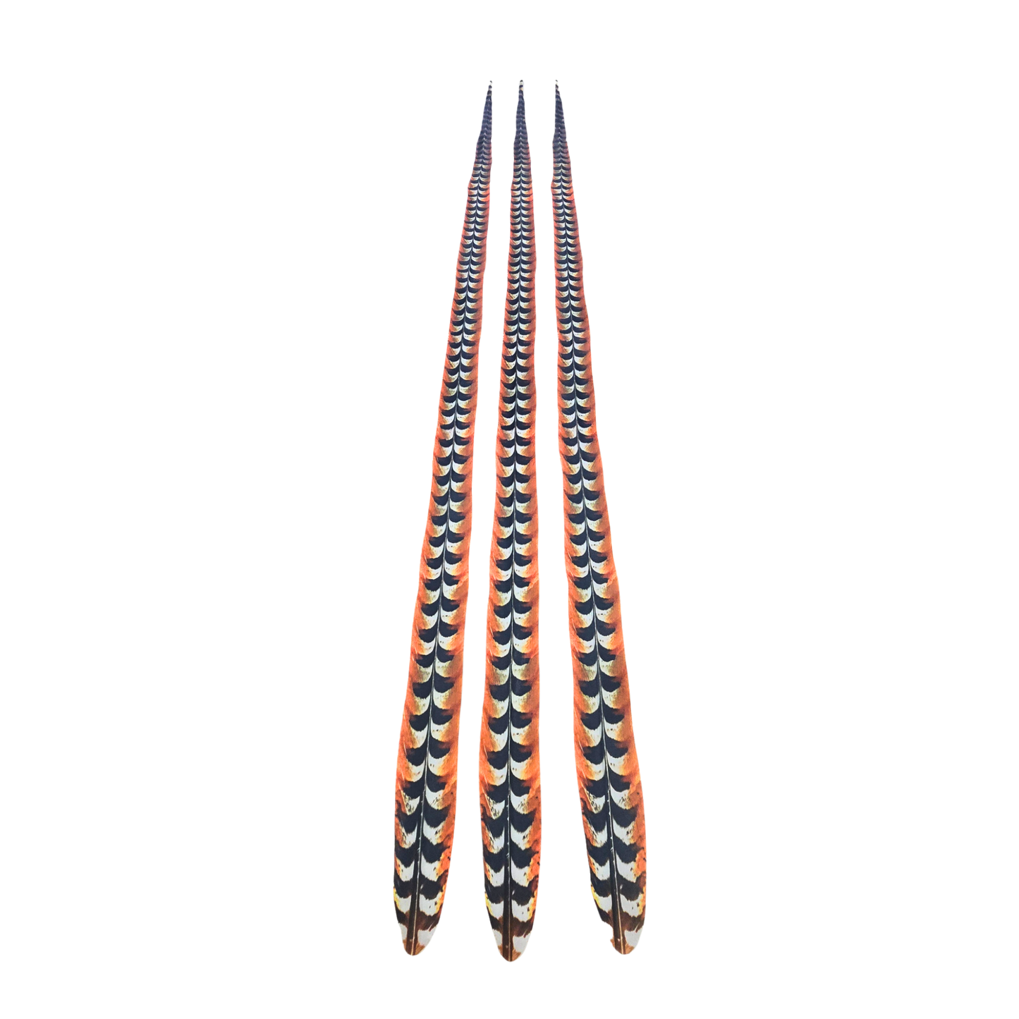 Faux Venery Pheasant Feather Tails 58 inch - 3 pcs