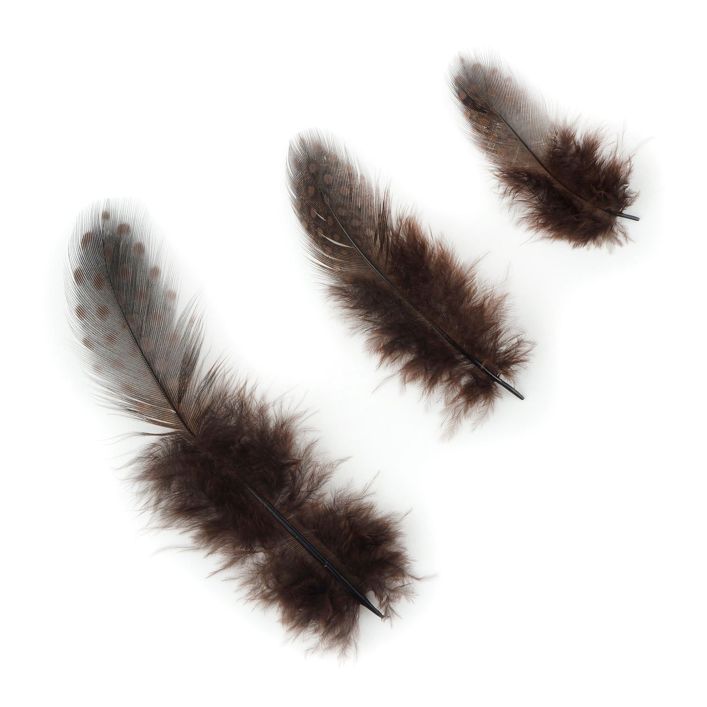 Guinea Plumage Loose 1-4 inch 0.10oz PKG --Brown