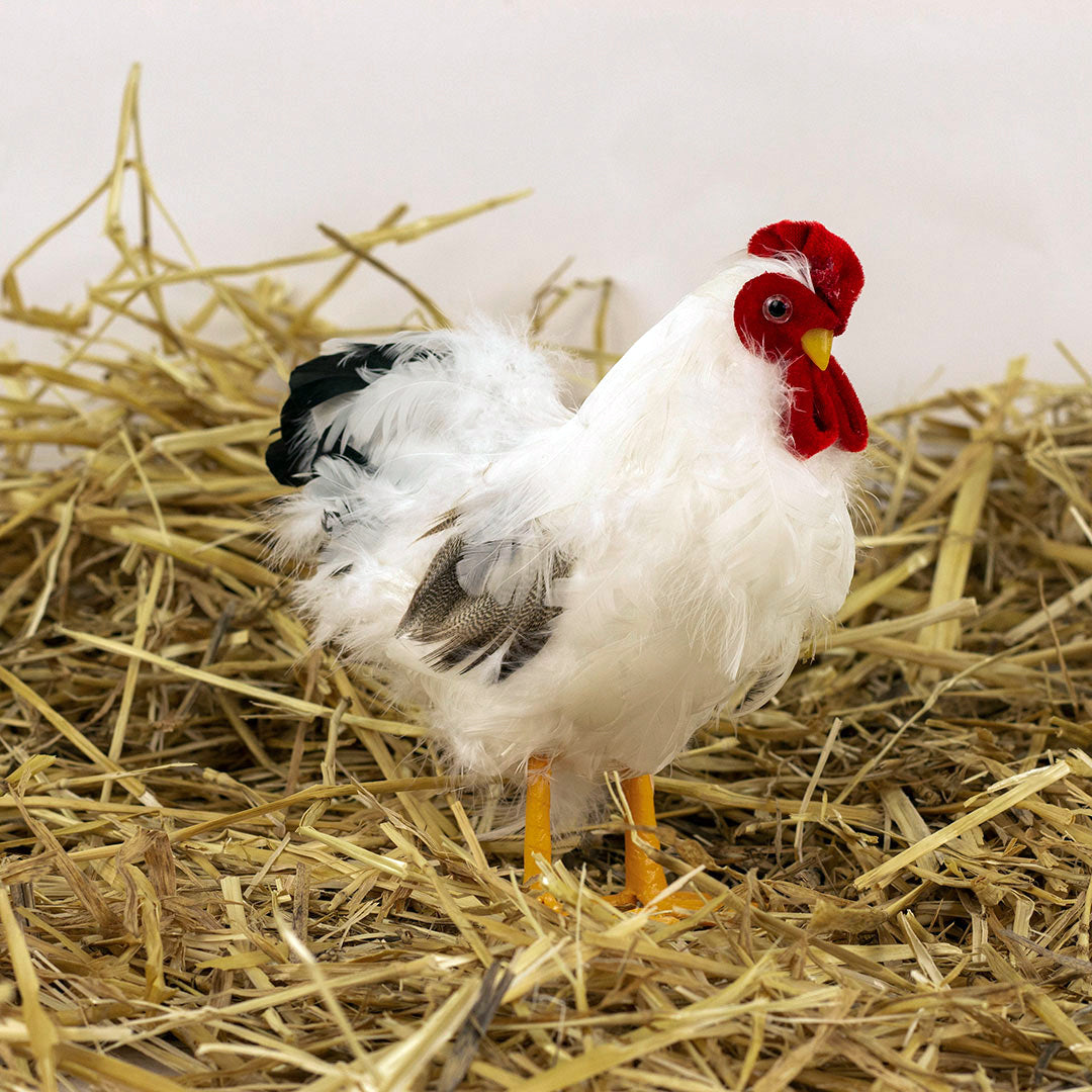 White and Black Hen Farmhouse Decor