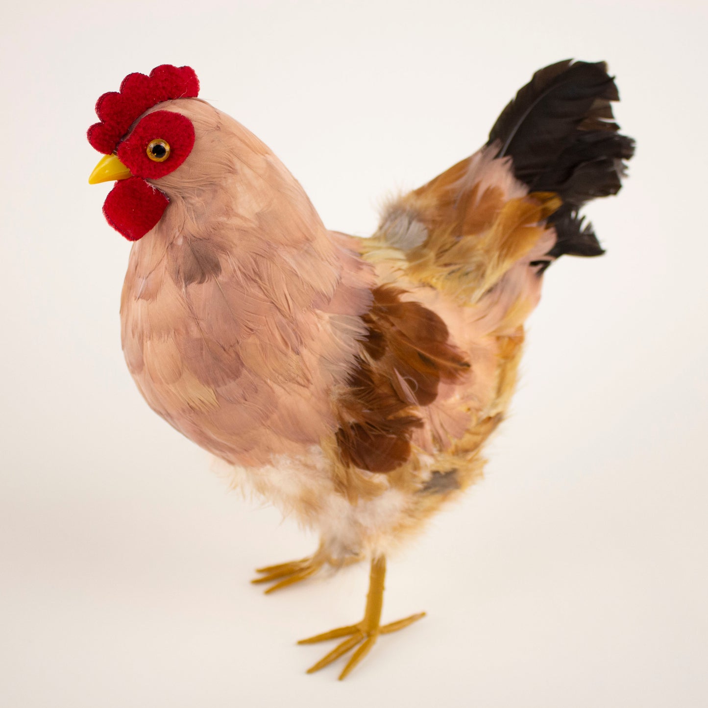 Brown Feather Hen 7" x 8"