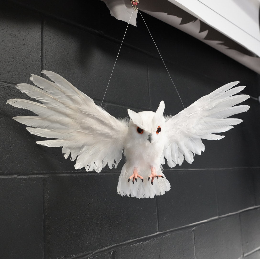 Flying White Owl