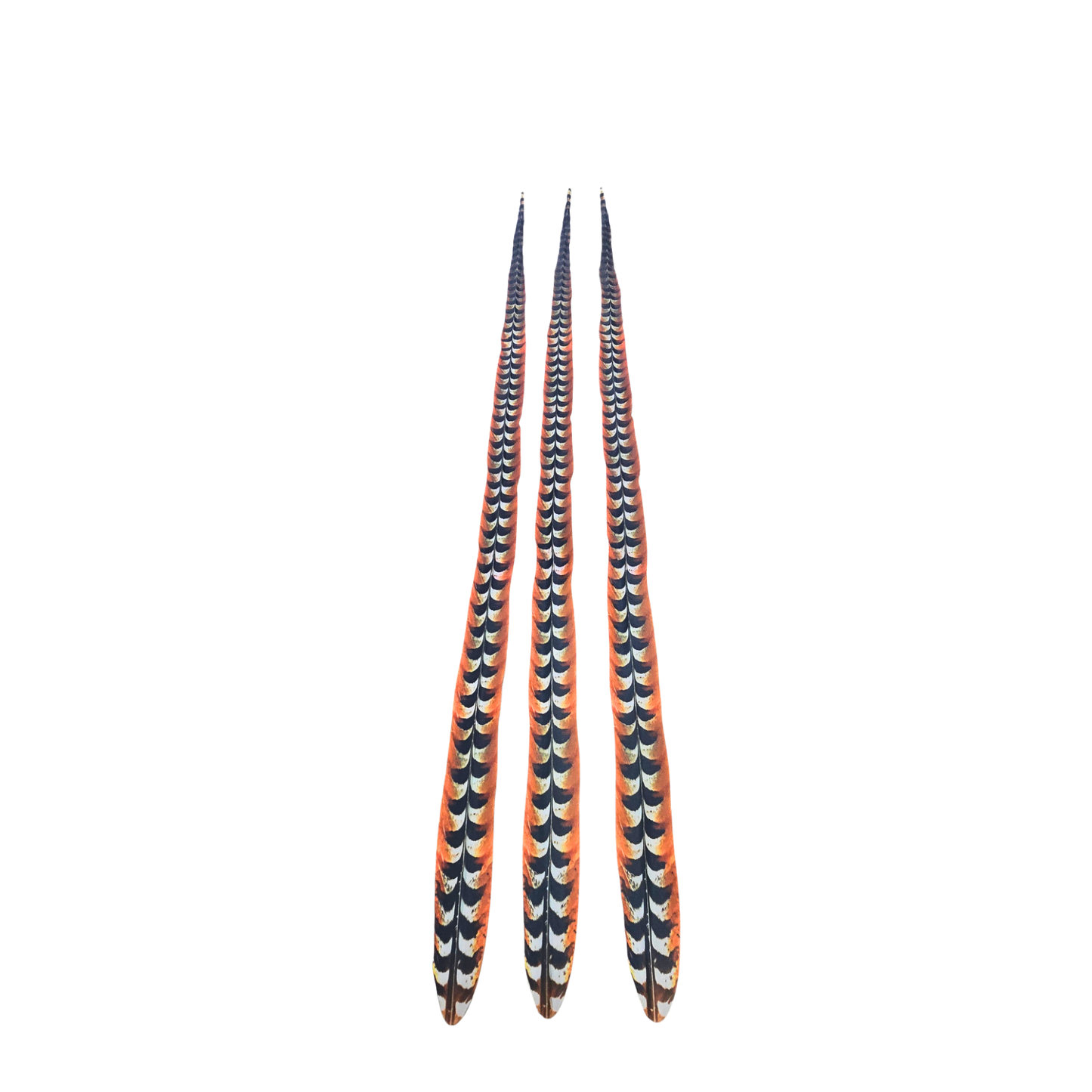 Faux Venery Pheasant Feather Tails 50 inch - 3 pcs