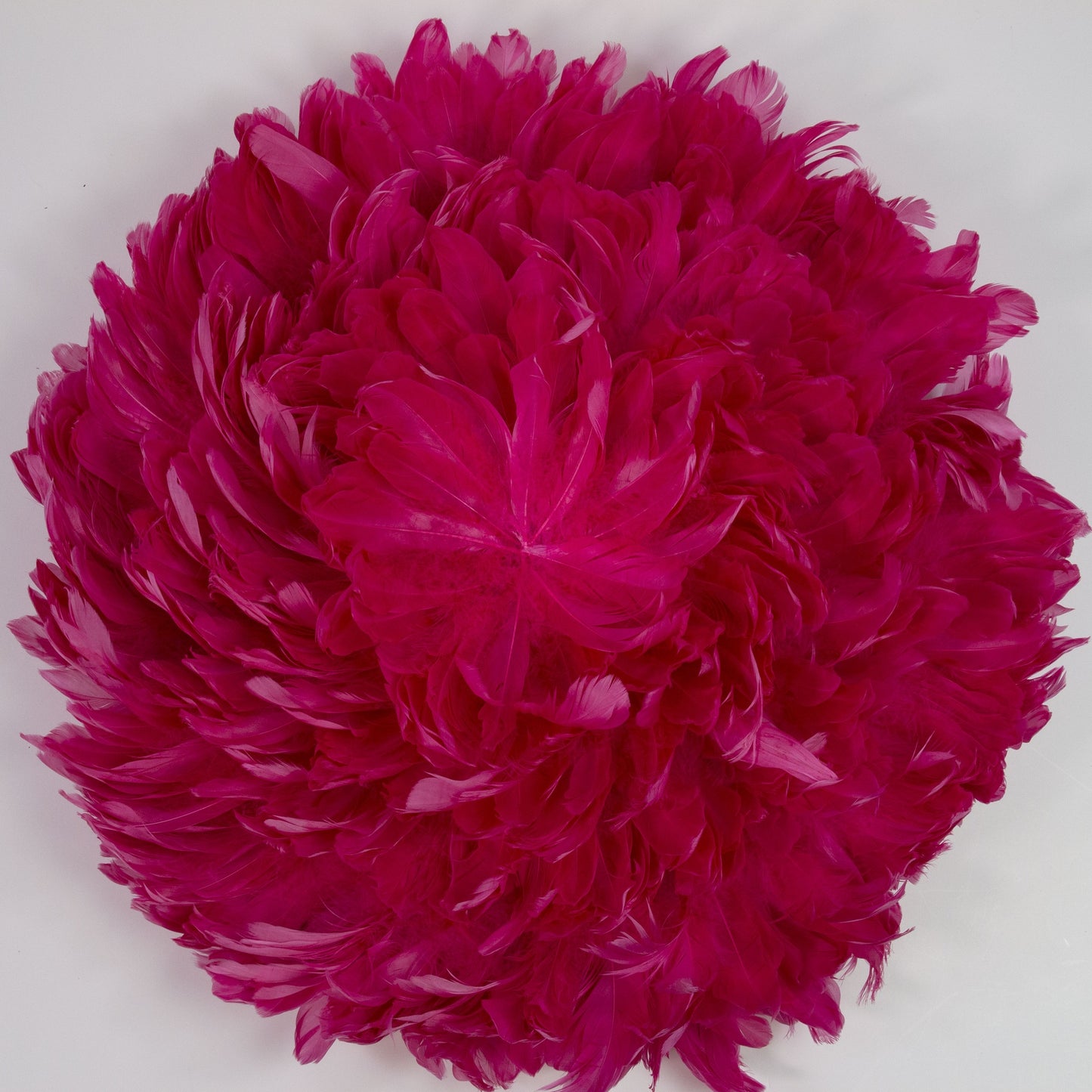 Juju Hat Nagoire Feather Wall Art 16 inch Wood Base 24-26 inch DIA --Raspberry Sorbet