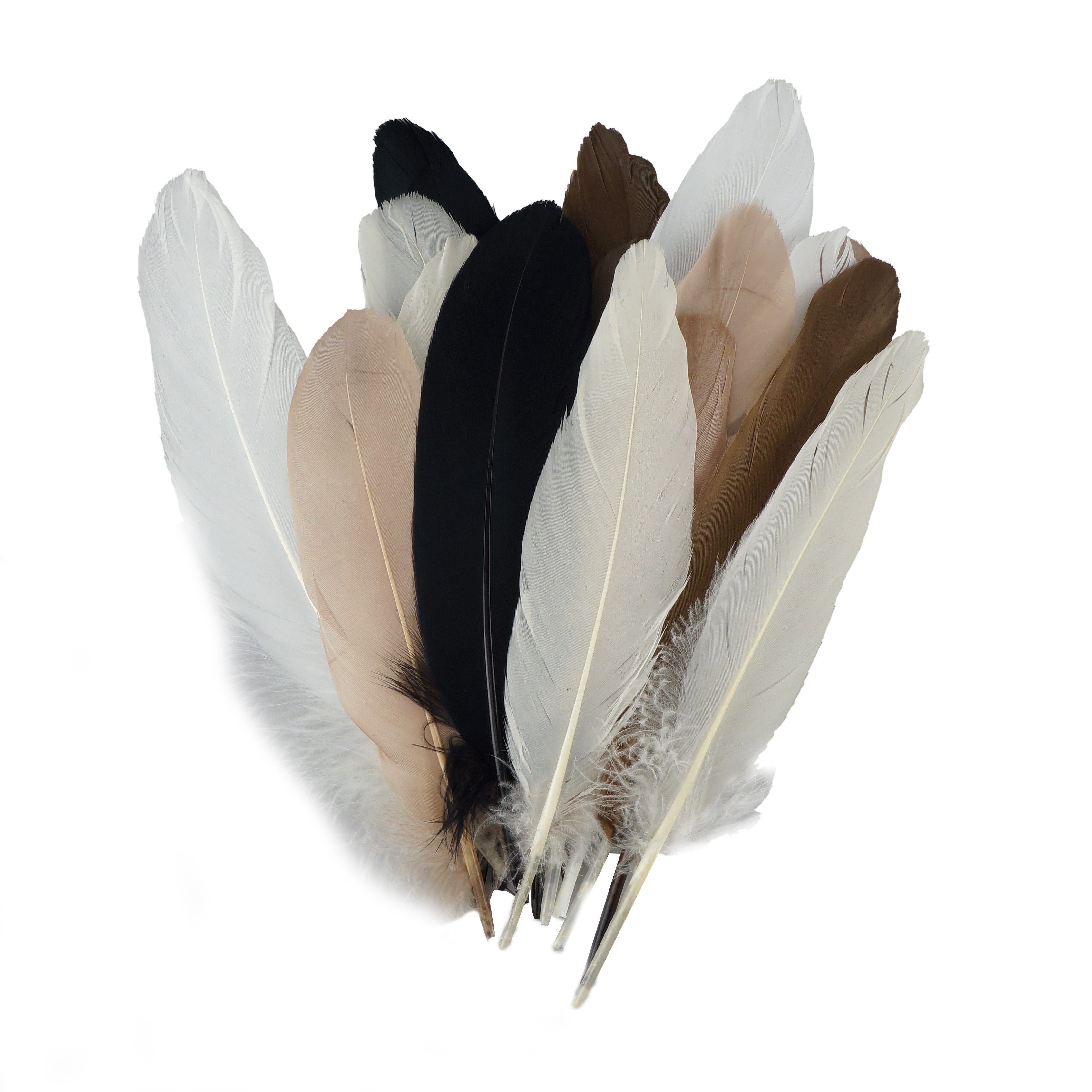 Assorted Color Goose Craft Feathers