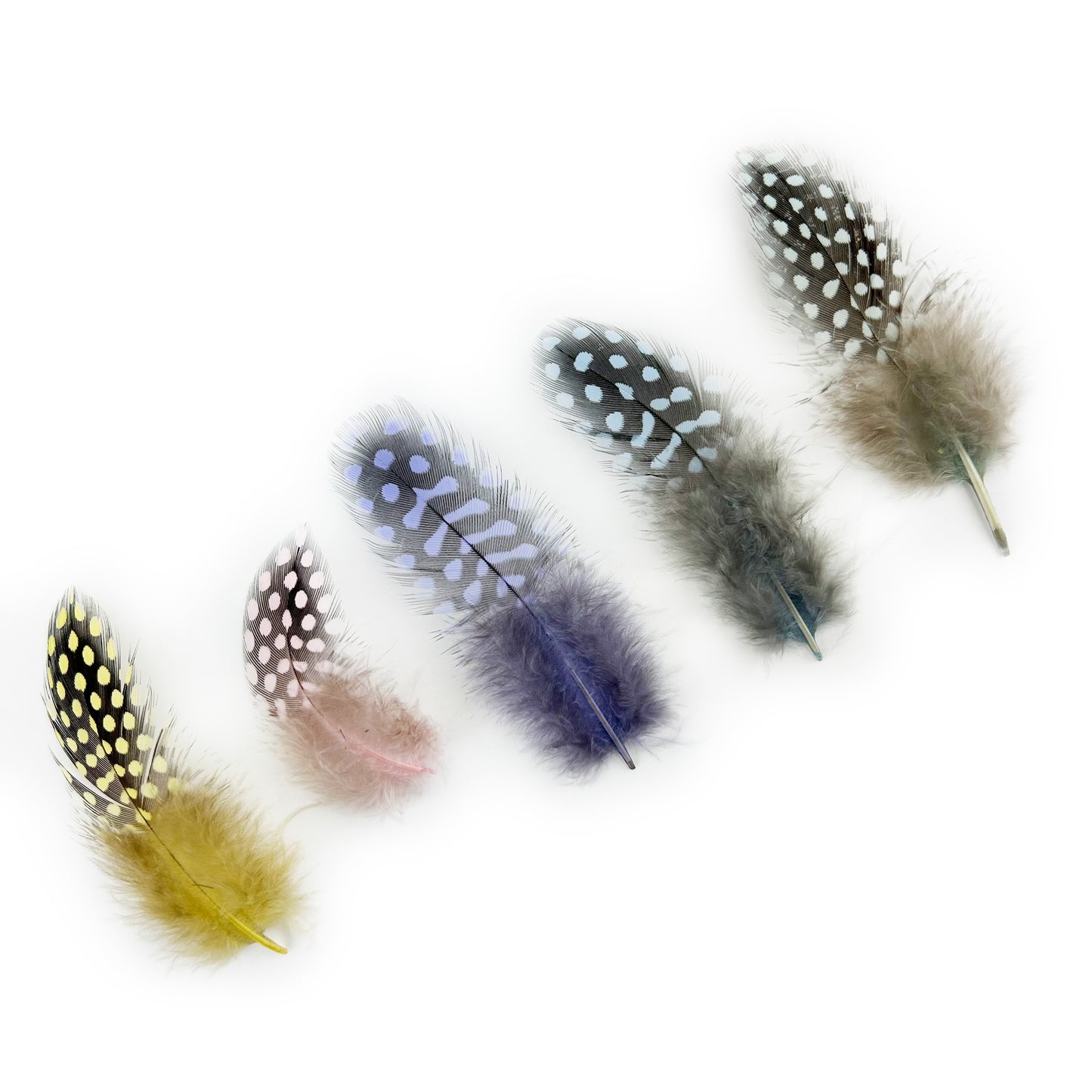 Loose Guinea Plumage Mix Dyed - Spring Mix