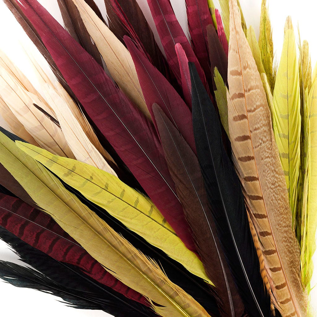 Assorted Pheasant Tails Mix Dyed Harvest - Feathers