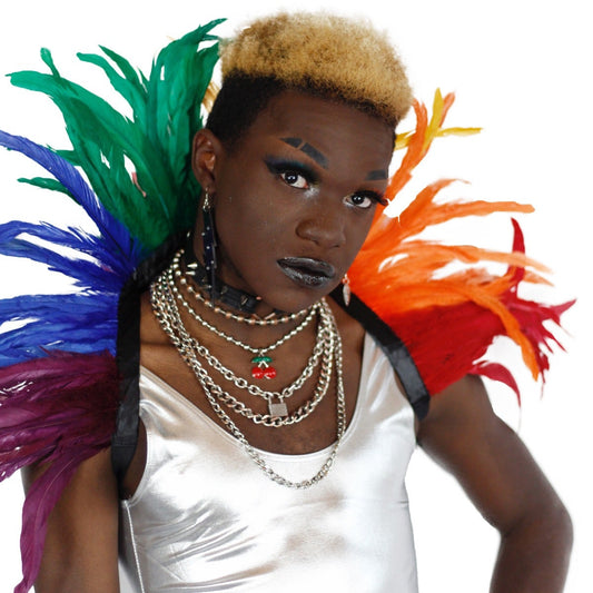 Carnival Feather Collar - Rainbow