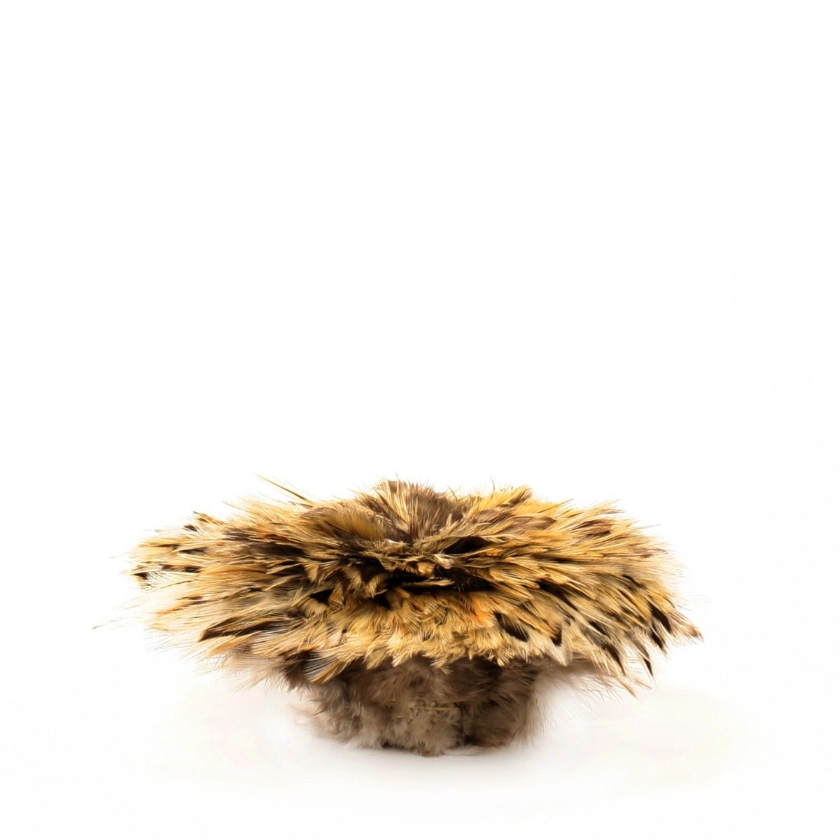 Badger Rooster Saddle Feathers Strung - 2’’ strip of 4-6’’ Rooster Feathers - Natural - Feathers