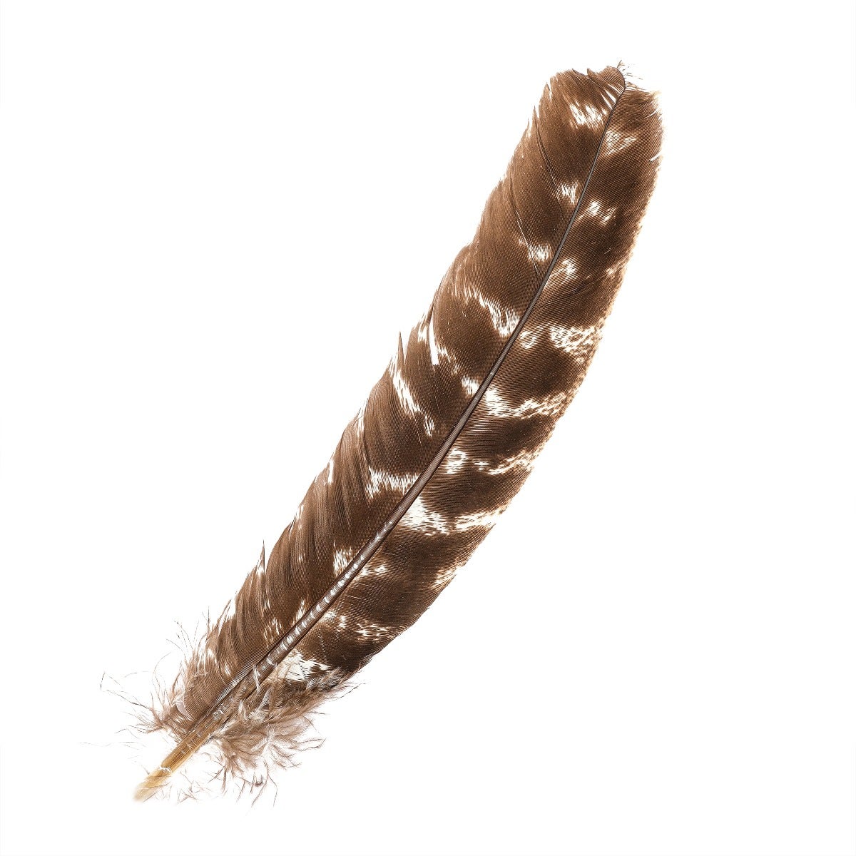 Wing discount Feathers, 1 Lb - Yellow Turkey Rounds Wing Quill Wholesale Feathers (Bulk) Halloween Craft Supplier : 4938