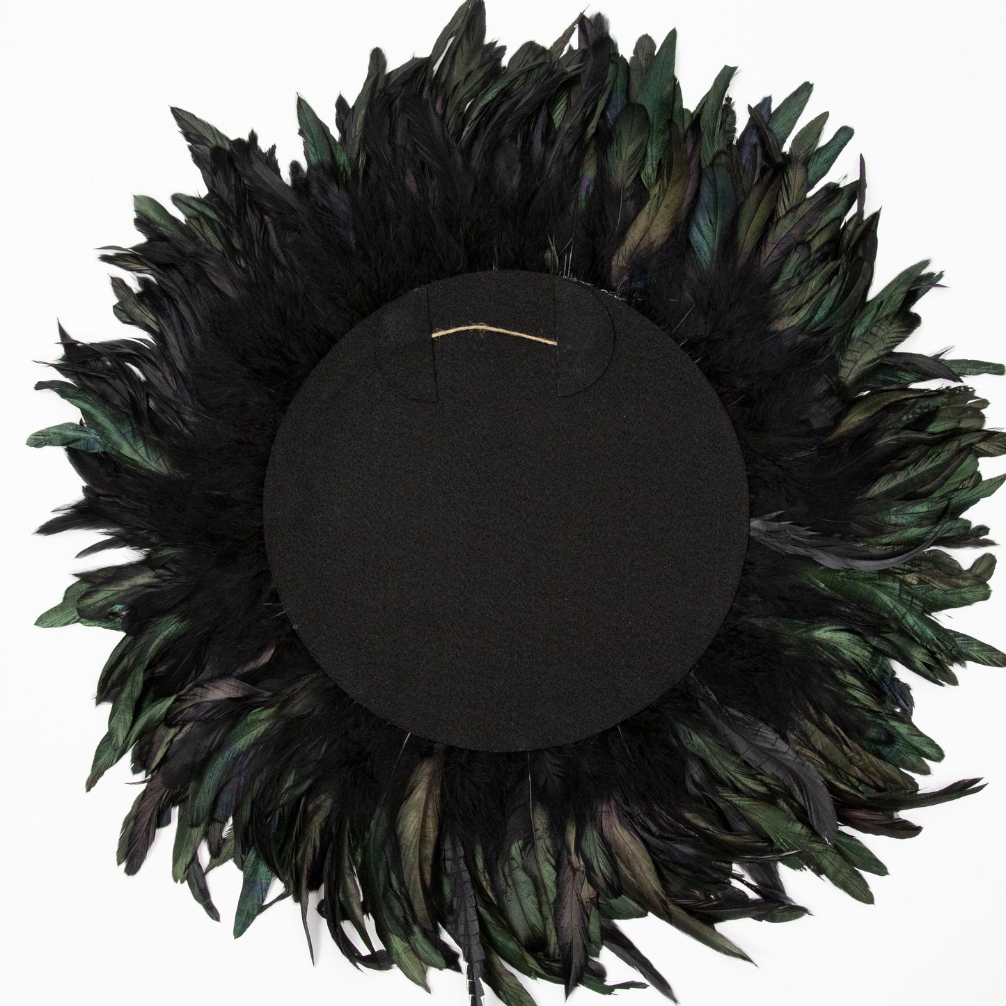 Black Feather and Golden Mirror Wall Art