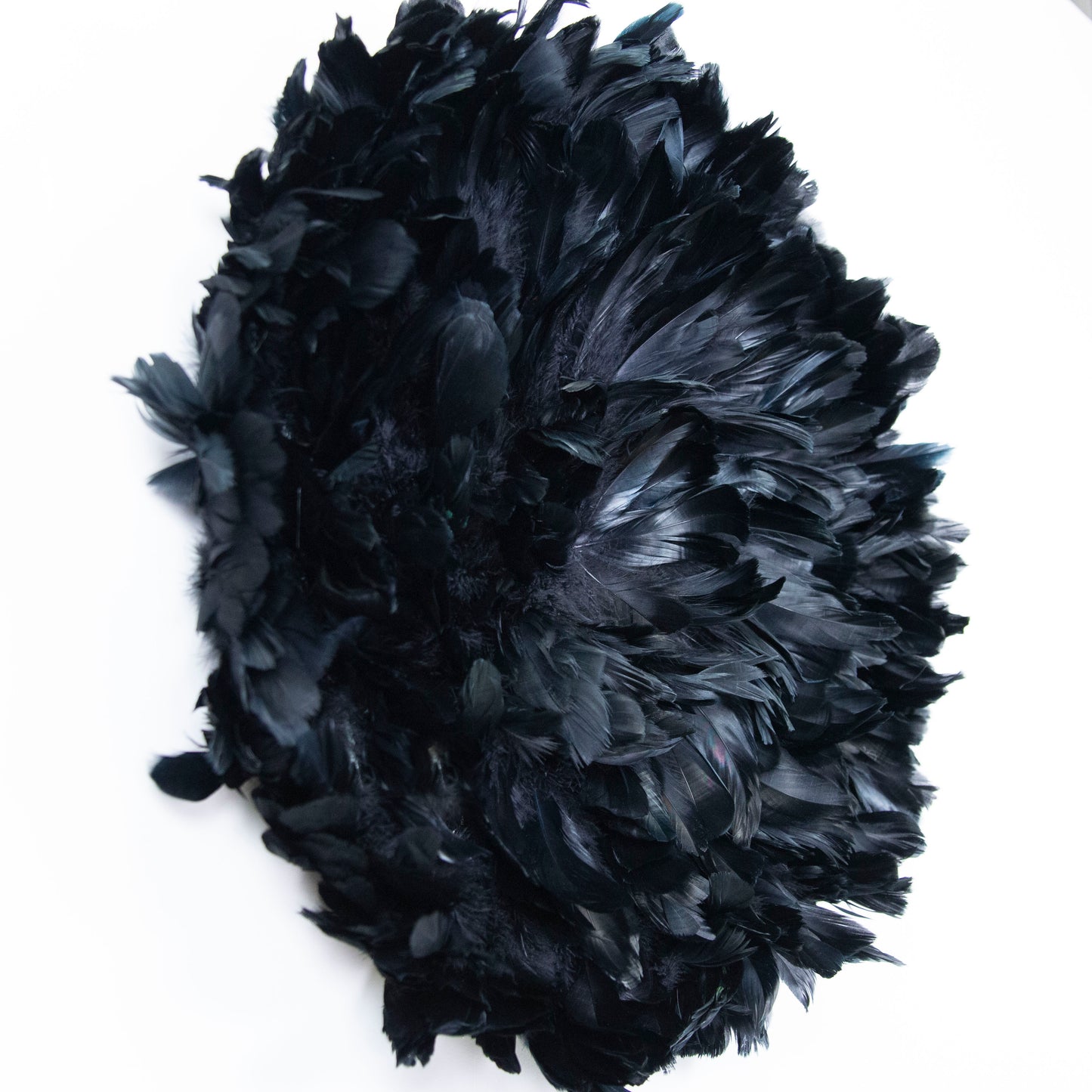 Juju Hat Nagoire Feather Wall Art 16 inch Wood Base 24-26 inch DIA --Black