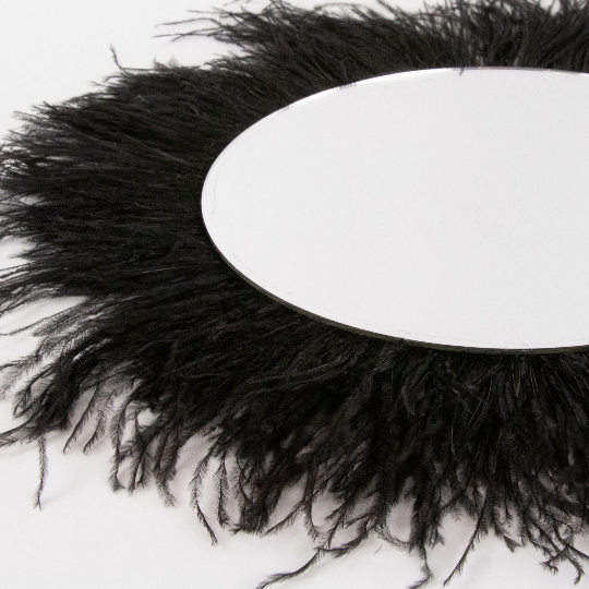 Black Ostrich Feather Wall Art - Feathers