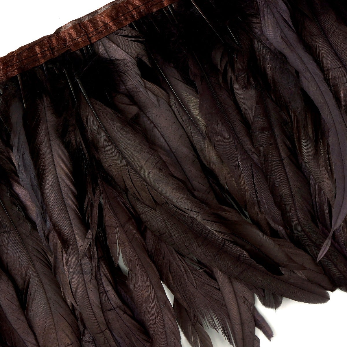 Bronze Iridescent Coque Fringe - 8-10’’ - Dark Brown / Iridescent - Feathers
