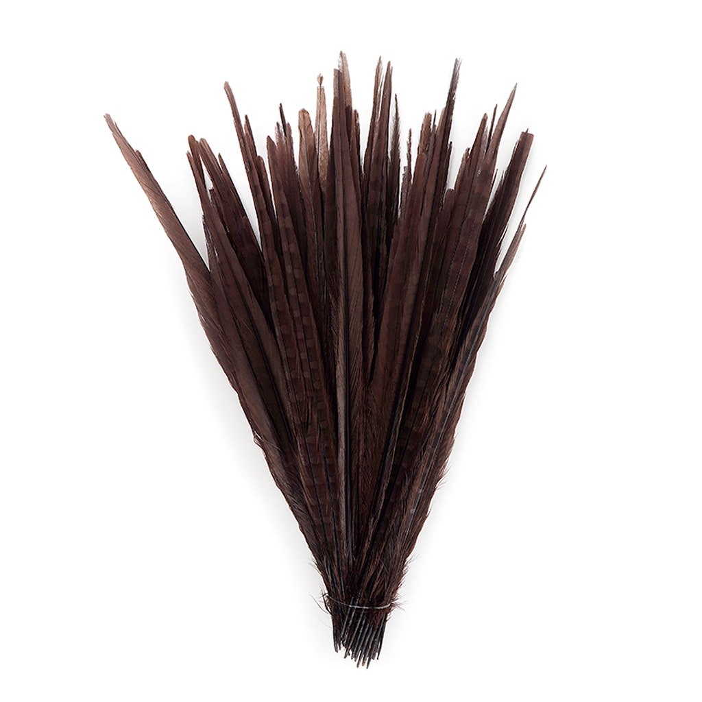 Bulk Assorted Pheasant Tails Dyed - Brown