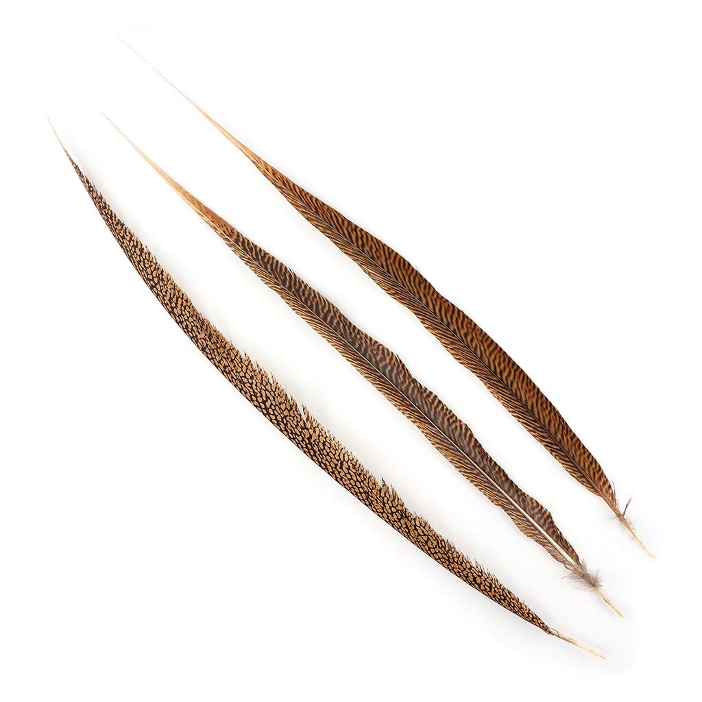 Bulk Golden Pheasant Tails Natural - 20 - 25’’ - Feathers