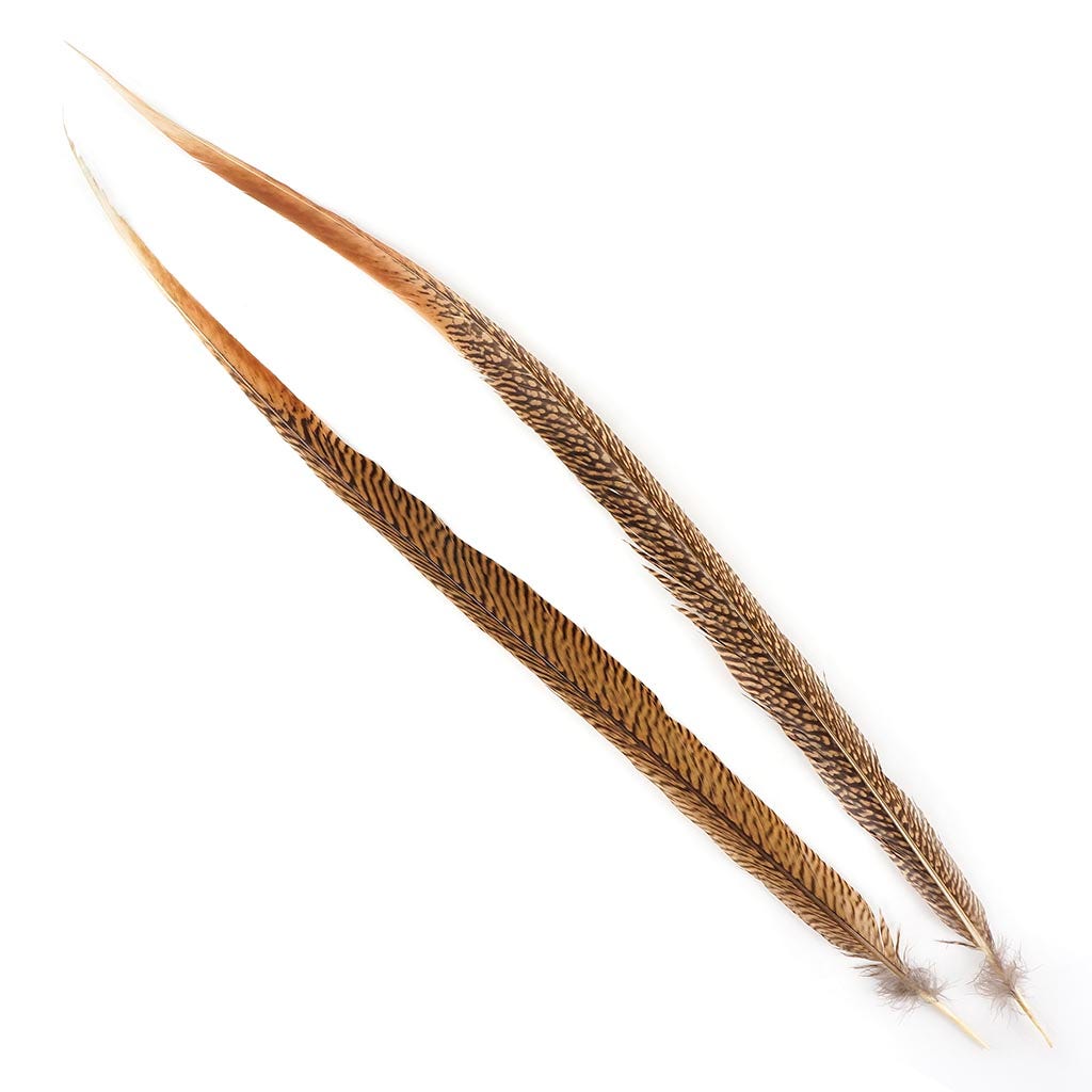 Bulk Golden Pheasant Tails Natural - 25’’ and Up - Feathers