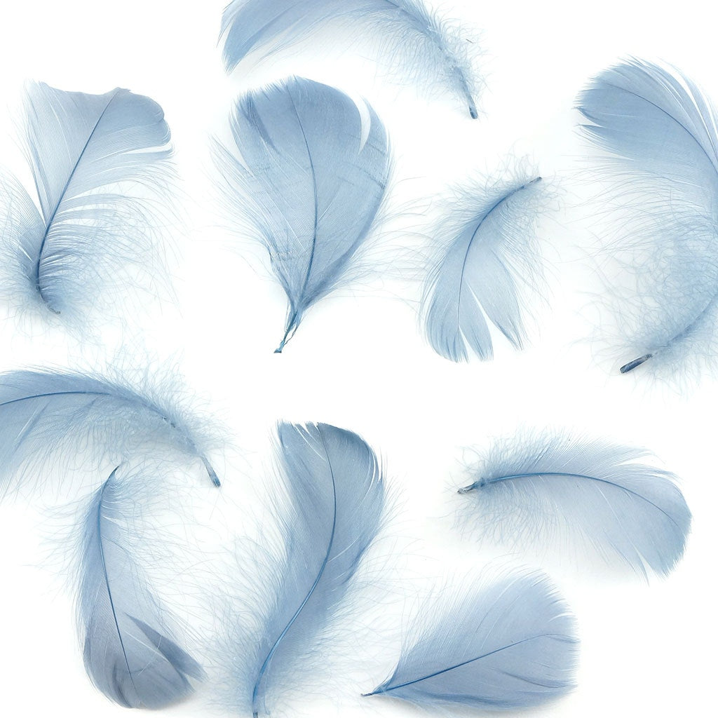 Bulk Goose Coquille Feathers Dyed - Country Blue - 1/4 lb - Feathers