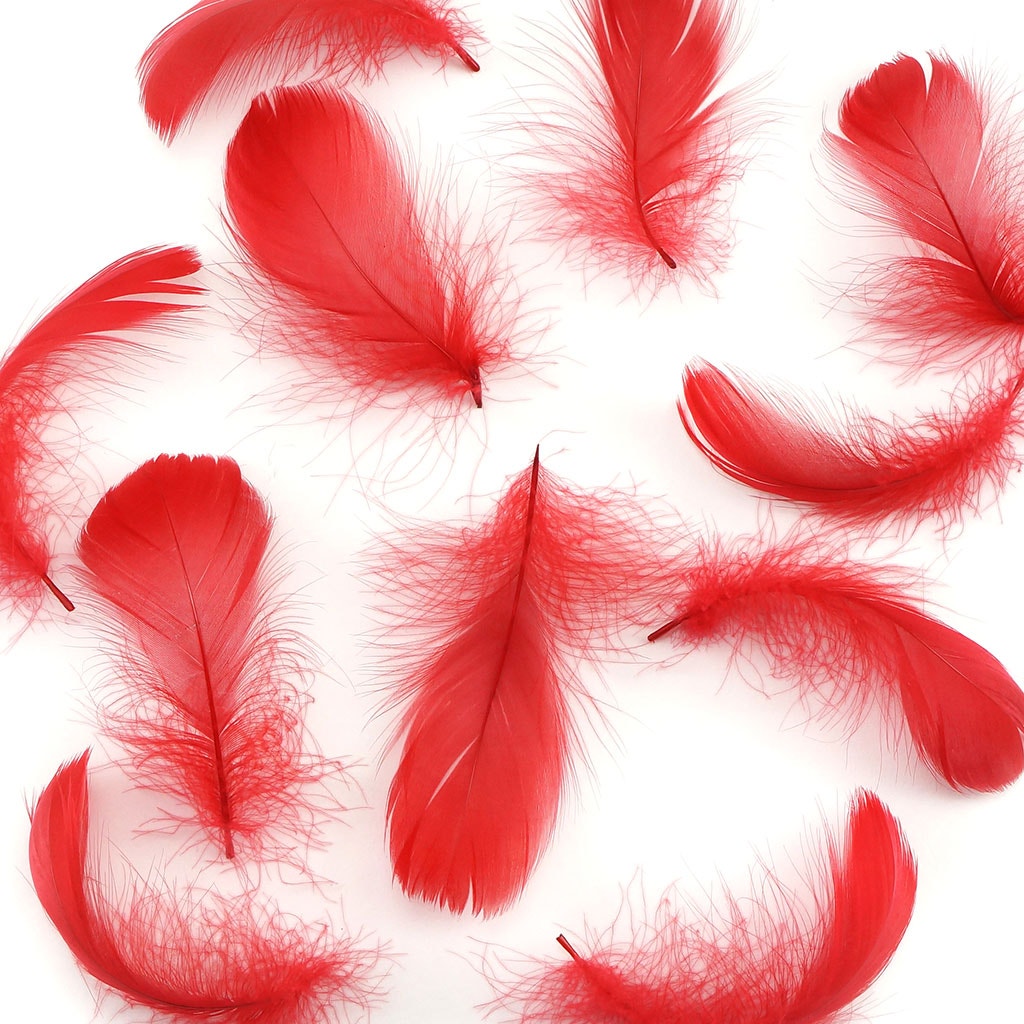 Bulk Goose Coquille Feathers Dyed - Red - 1/4 lb - Feathers