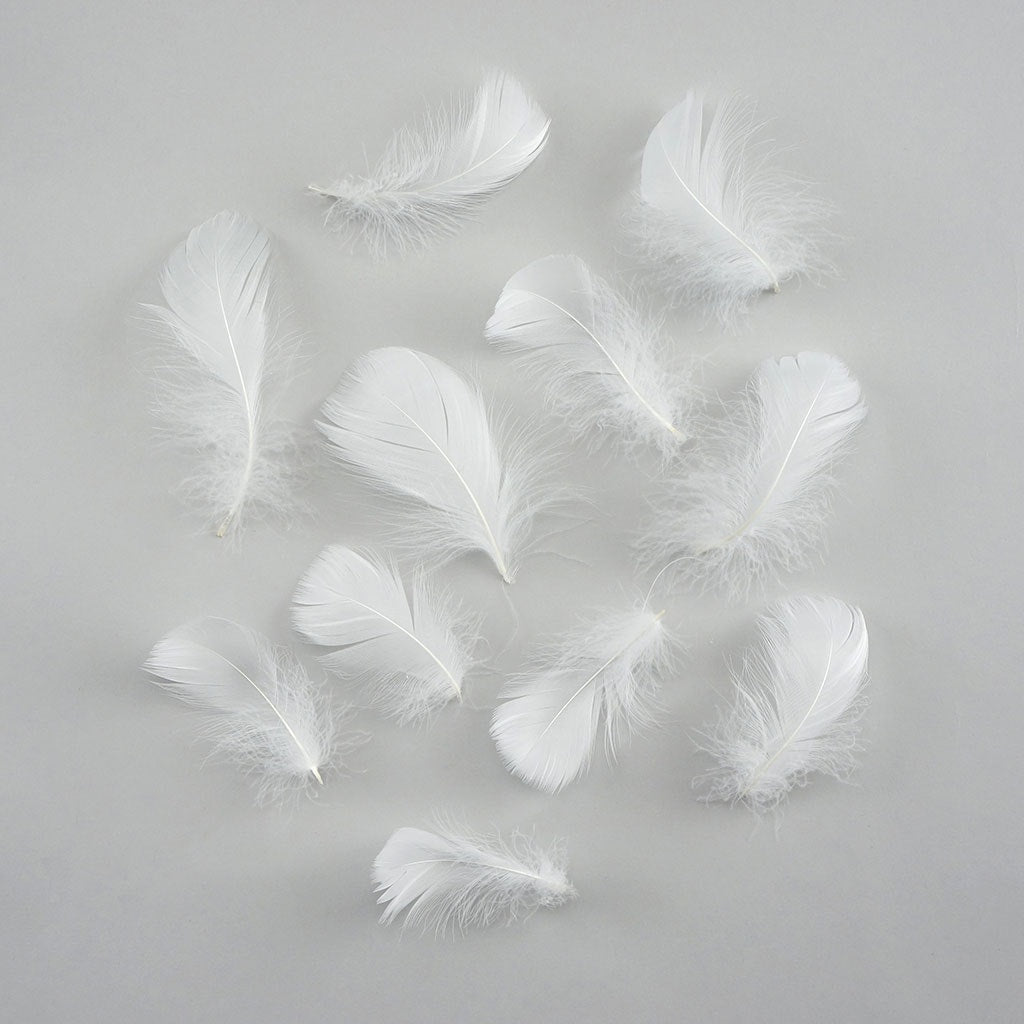 Bulk Goose Coquille Feathers Dyed - White - 1/4 lb - Feathers