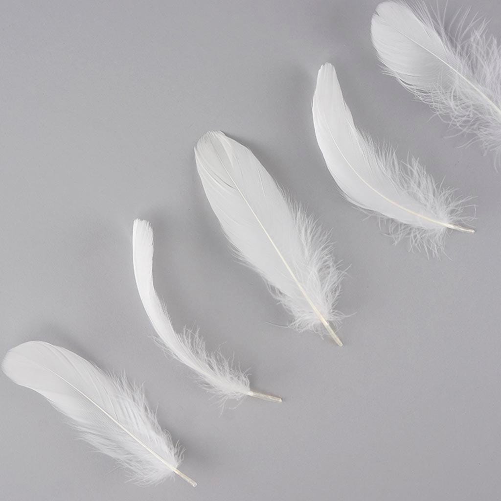 Bulk Goose Nagoire Natural White - White - Feathers