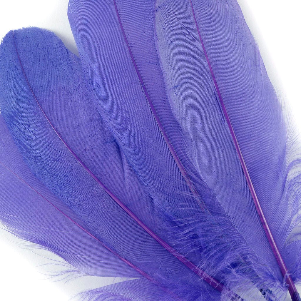 Bulk Bulk Goose Pallet Feathers 6-8 Inch - 1/4 LB - Lavender - Feathers