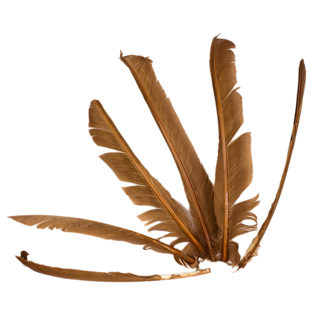 Camel Cut Turkey Pointer Feathers 8-12"