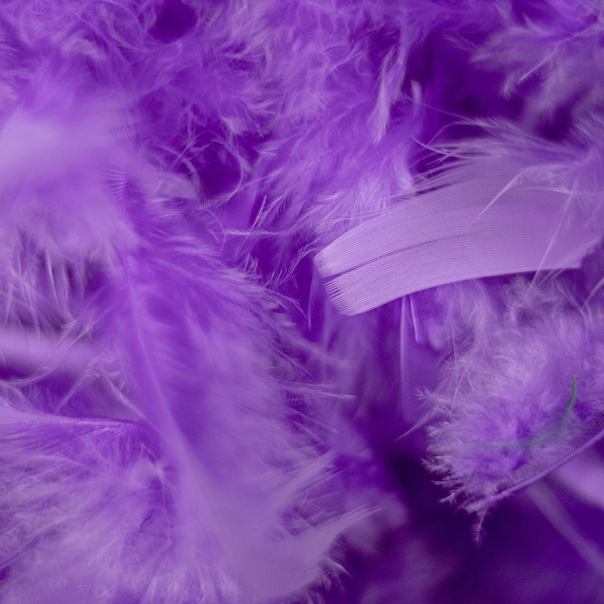 Chandelle Feather Boa - Medium Weight - Lavender - Chandelle Boa