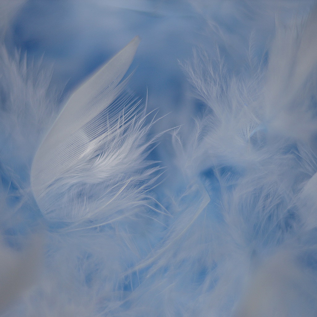 Chandelle Feather Boa - Medium Weight - Light Blue - Chandelle Boa