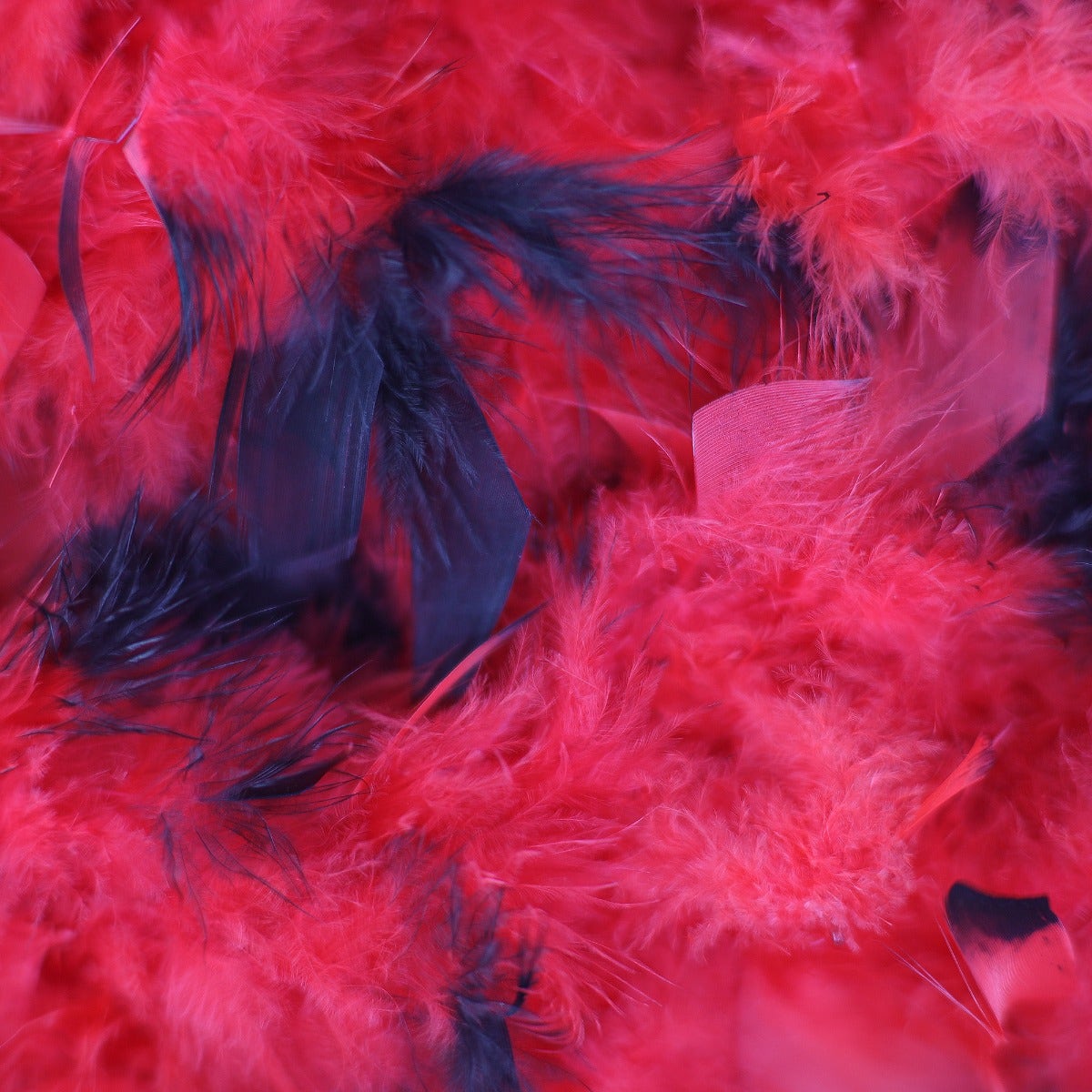 Chandelle Feather Boa - Medium Weight - Tipped- Red/Black - Chandelle Boa