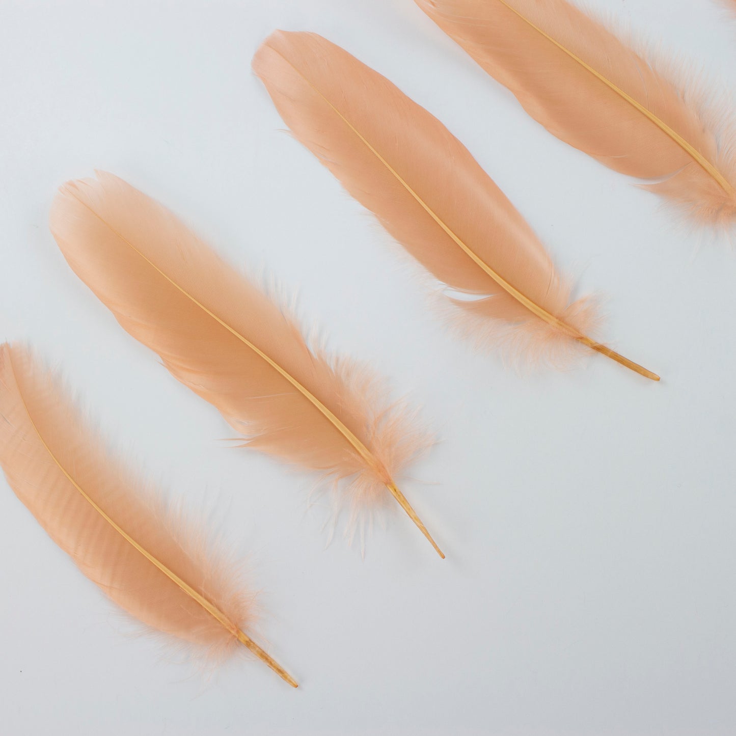 Goose Satinettes Loose 4.5-6 inch 1/4LB --Cinnamon
