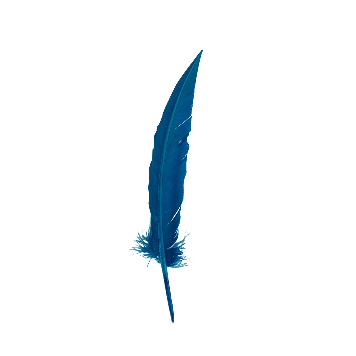 Dark Turquoise Dagger Turkey Quill Feathers 9-12"