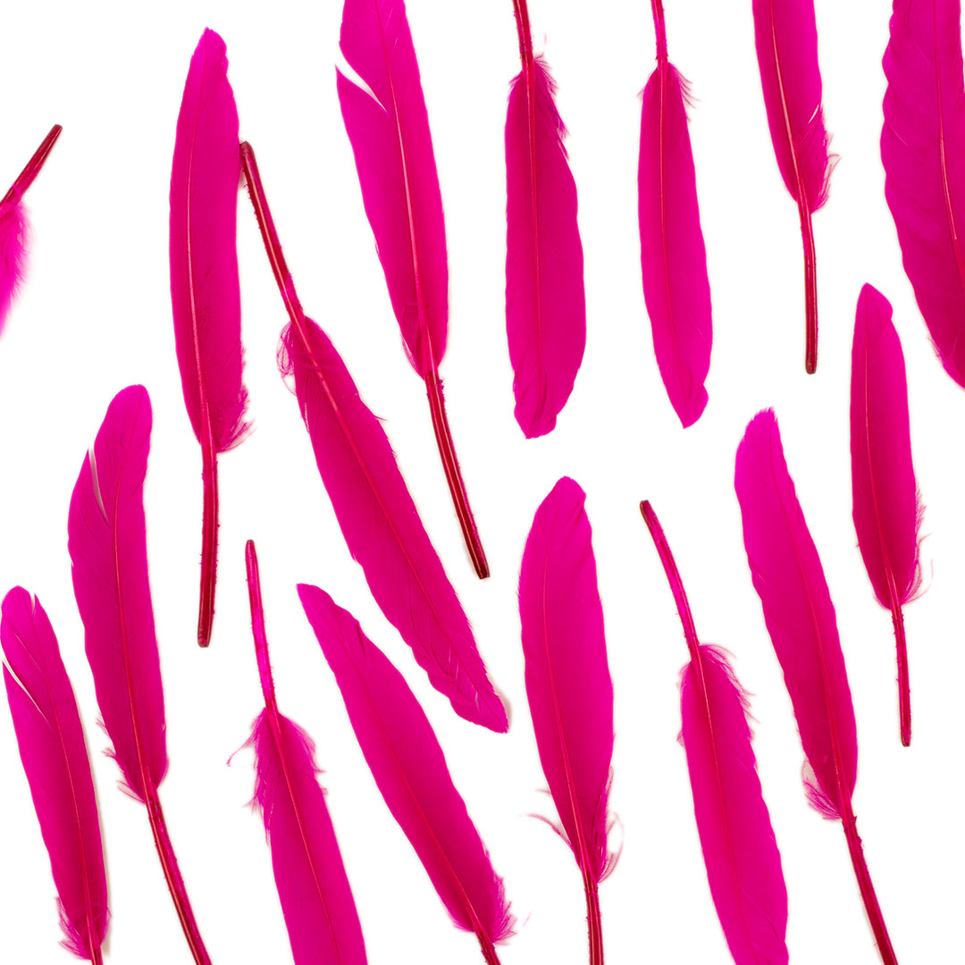 Duck Cosse Feathers - 3 - 6’’-Shocking Pink - Feathers