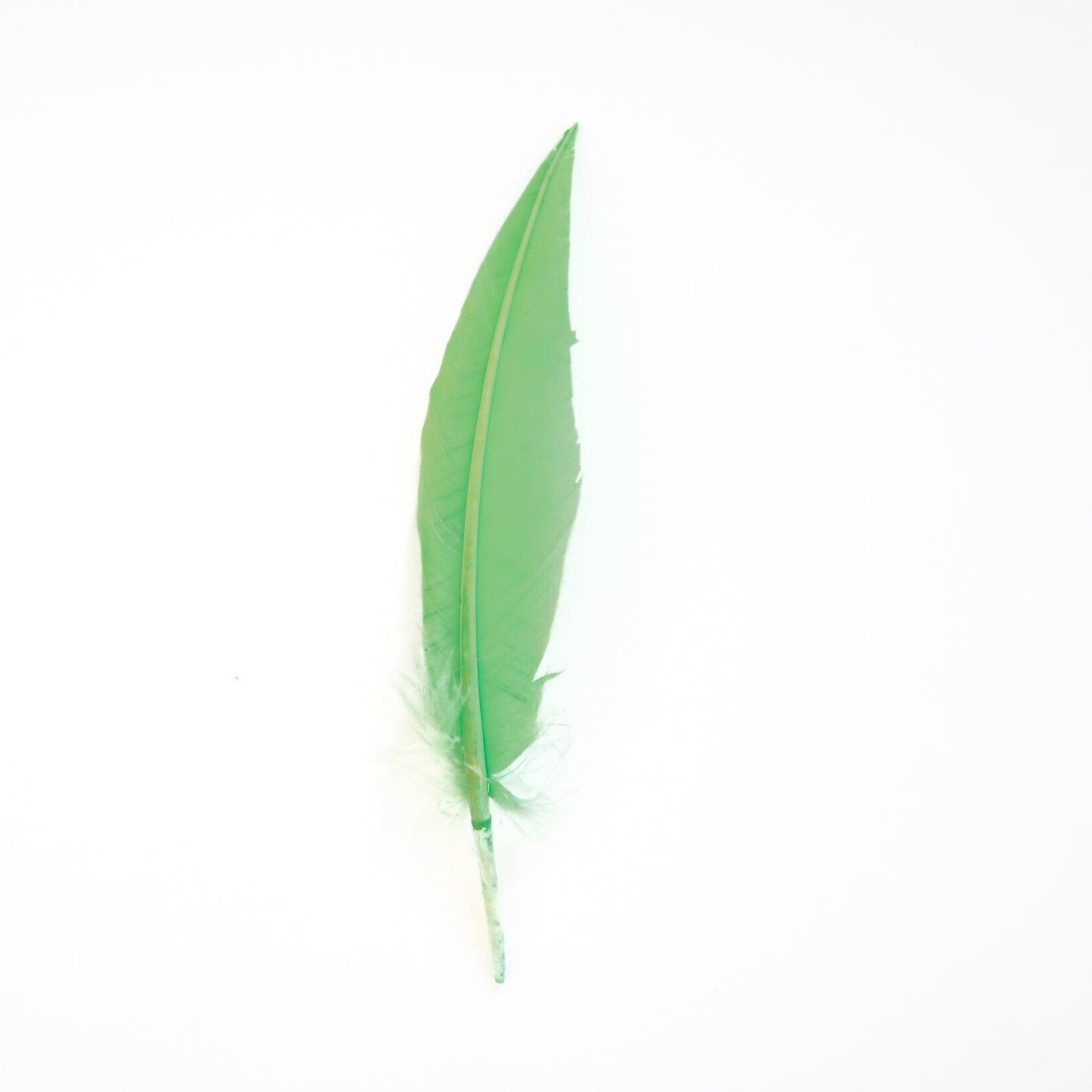 Fluorescent Lime Green Dagger Turkey Quill Feathers 9-12"