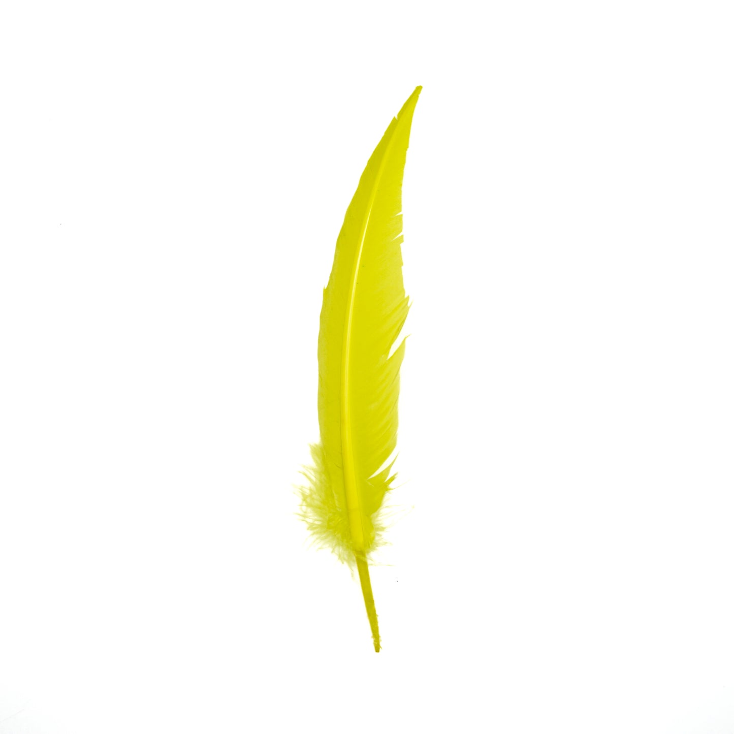 Fluorescent Yellow Dagger Turkey Quill Feathers 9-12"