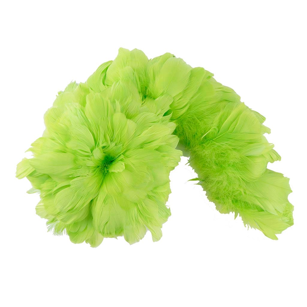 Goose Coquille Feathers Dyed Lime - Feathers