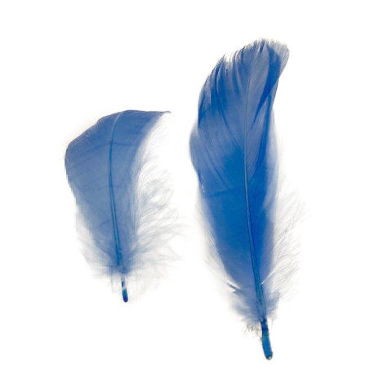 Goose Nagoire Loose Feathers 4-6’’ - Sky - Feathers