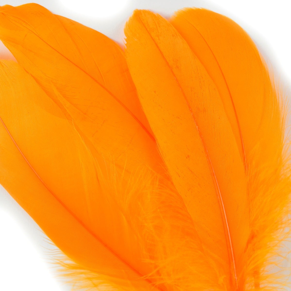 Goose Pallet Feathers 6-8’’ - 12 pc - Mango - Feathers
