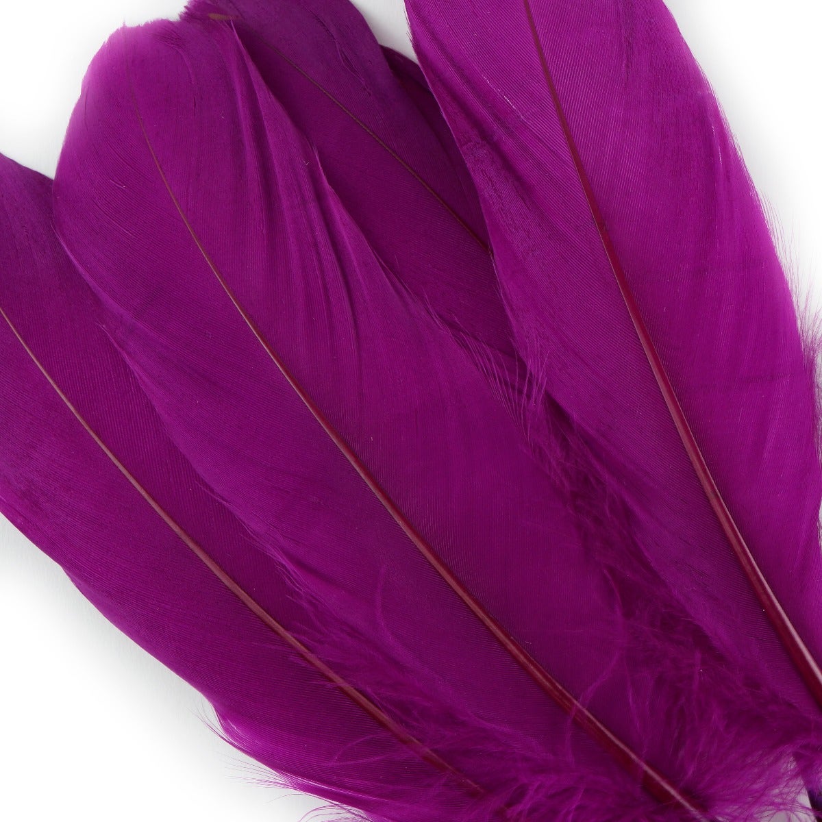 Goose Pallet Feathers 6-8’’ - 12 pc - Very Berry - Feathers