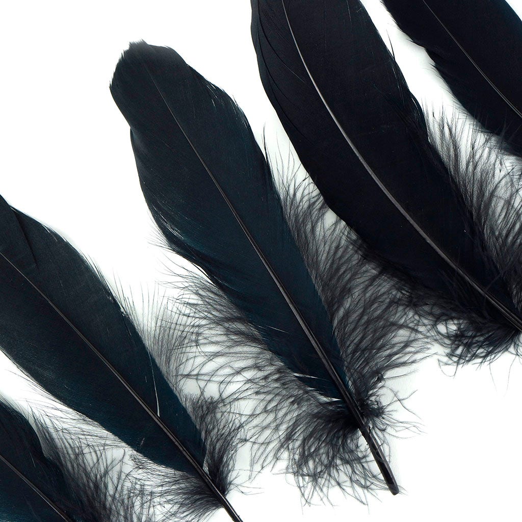 Goose Satinette Feathers Dyed - Black - 1/4 lb - Feathers