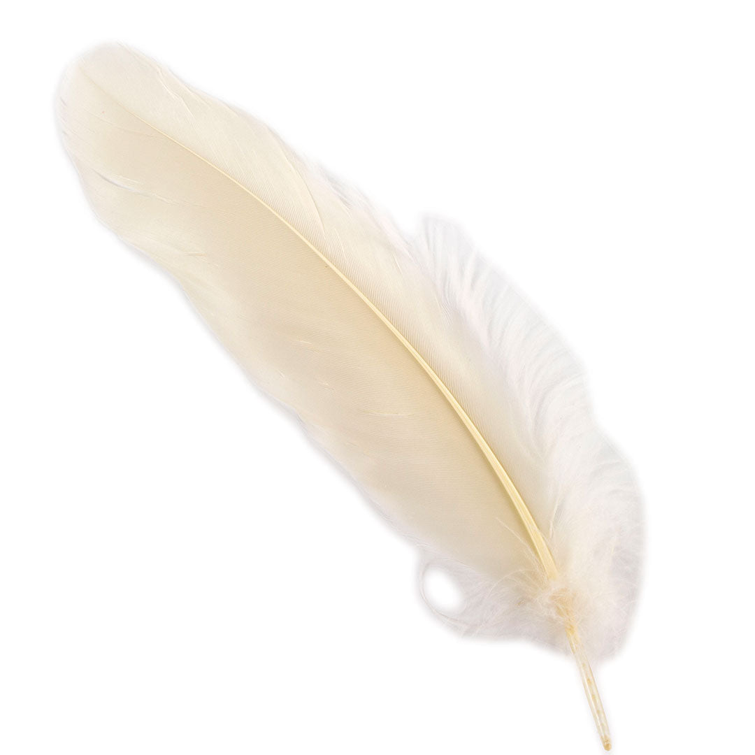 Goose Satinette Feathers Dyed - Ivory - 1/4 lb