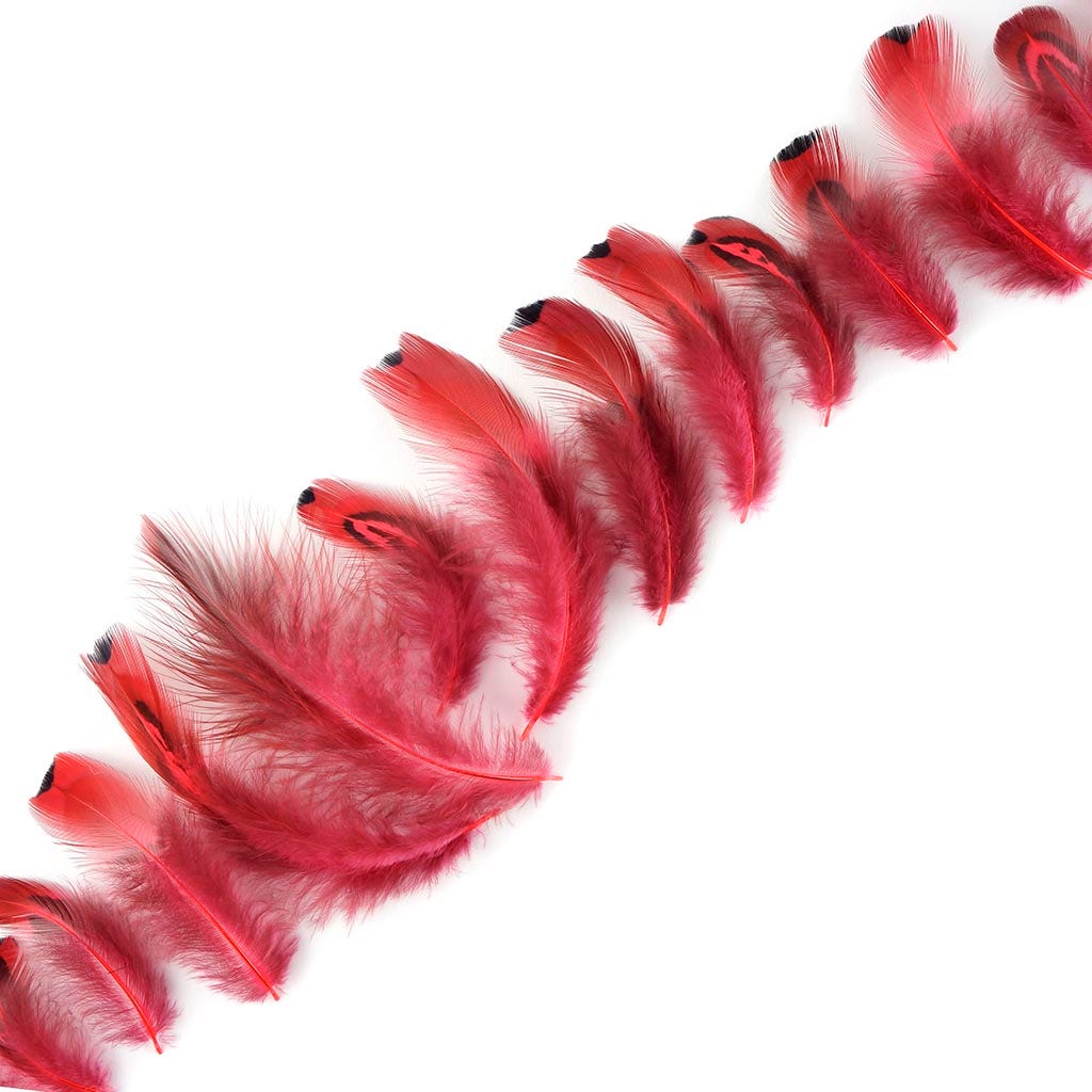 Heart Pheasant Plumage Dyed - Coral - Feathers