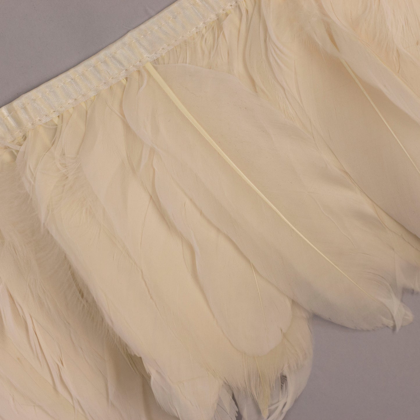 Goose Pallets Parried Fringe With Bias 6 inch 1yd Bolt --Ivory