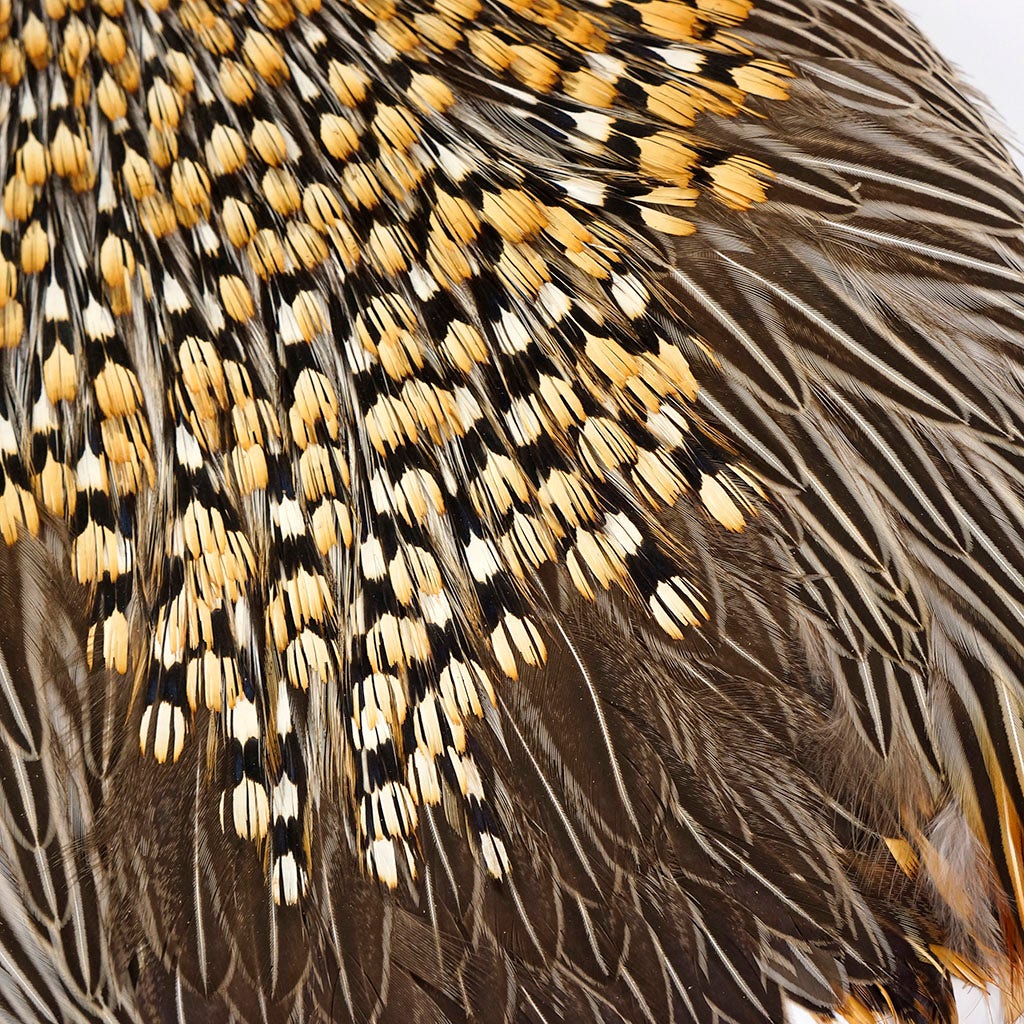 Jungle Cock Feather Cape - Natural - Feathers