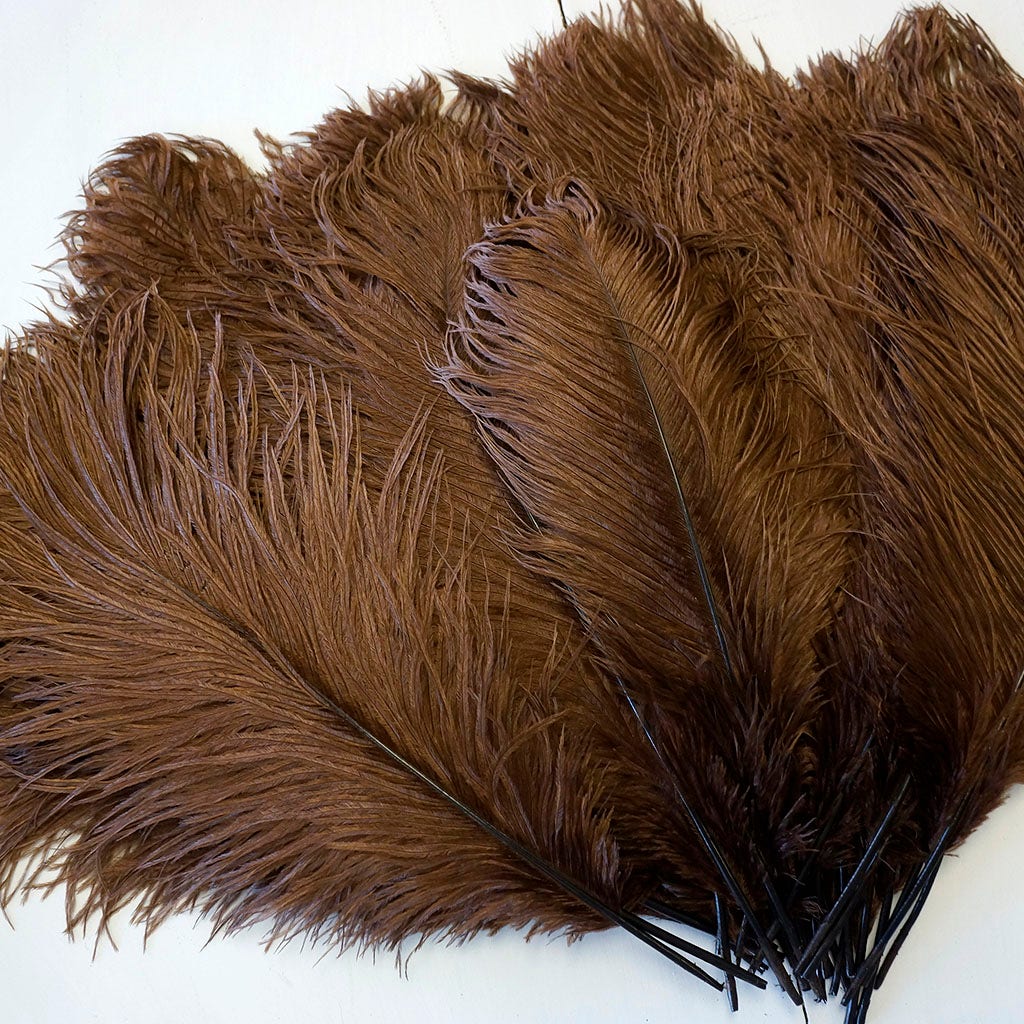 Large Ostrich Feathers - 17’’ + Drabs - Brown - 12 pieces - Ostrich Feathers