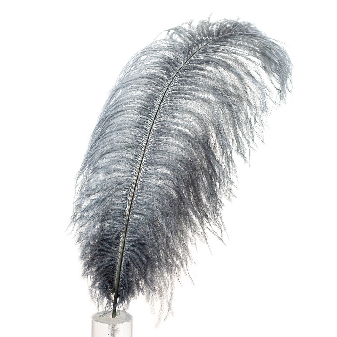 Large Ostrich Feathers - 17’’ + Drabs - Gun Metal Grey - Ostrich Feathers